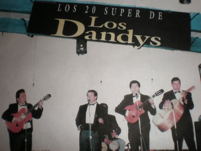 Gallery photo 47 of Mariachi Trio Los Azulado