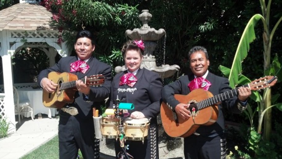 Gallery photo 42 of Mariachi Trio Los Azulado