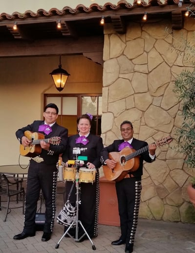 Gallery photo 23 of Mariachi Trio Los Azulado