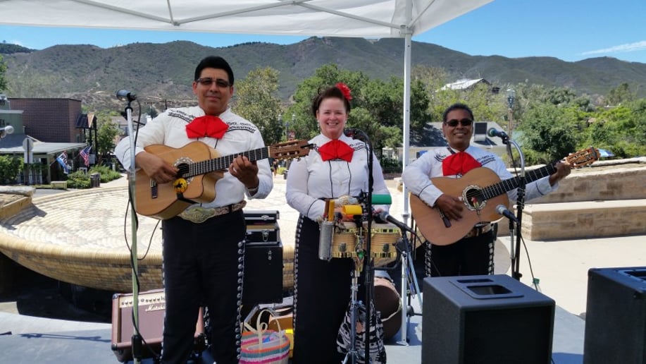 Gallery photo 14 of Mariachi Trio Los Azulado