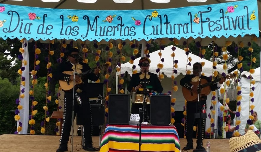 Gallery photo 11 of Mariachi Trio Los Azulado