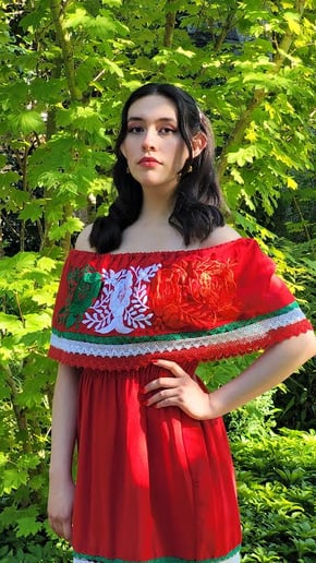Gallery photo 4 of Mexican Folklore Singer-Songwriter