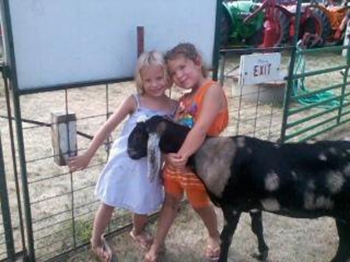 Gallery photo 1 of Meyer Petting Zoo