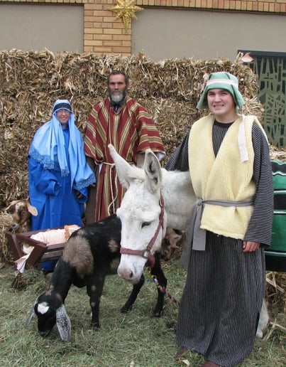 Gallery photo 2 of Meyer Petting Zoo