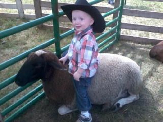 Gallery photo 4 of Meyer Petting Zoo