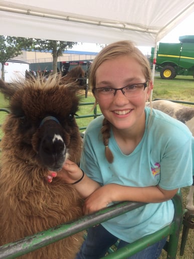 Gallery photo 11 of Meyer Petting Zoo