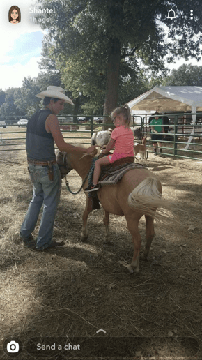 Gallery photo 13 of Meyer Petting Zoo