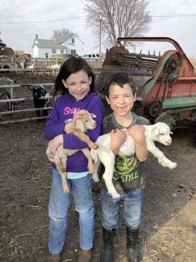 Gallery photo 15 of Meyer Petting Zoo