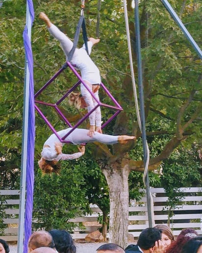 Gallery photo 50 of Circus Modern