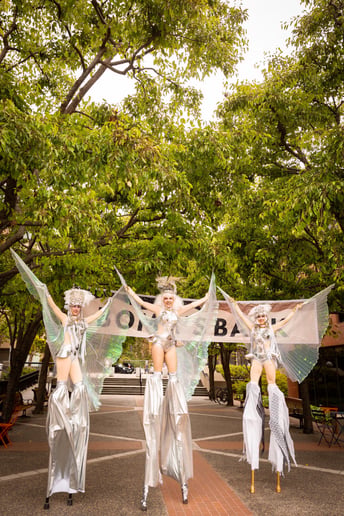 Gallery photo 45 of Circus Modern