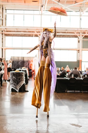 Gallery photo 47 of Circus Modern