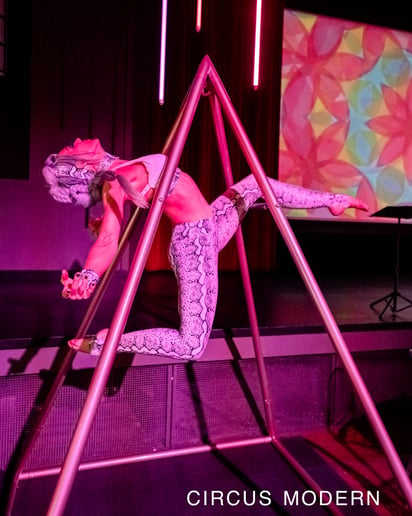 Gallery photo 4 of Circus Modern