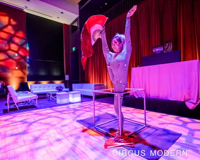 Gallery photo 20 of Circus Modern