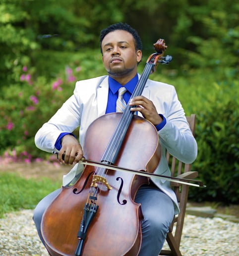 Gallery photo 5 of Miami Pop Cello