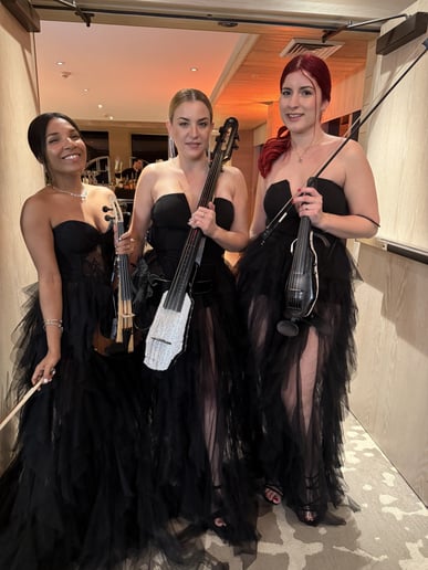 Gallery photo 5 of Miami String Girls