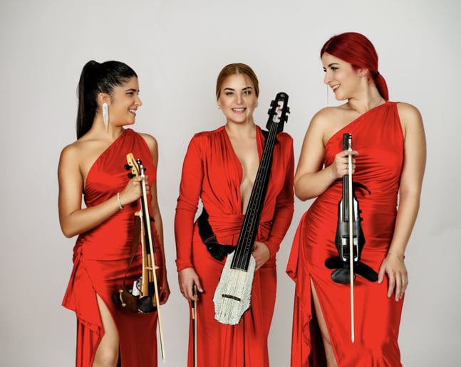 Gallery photo 2 of Miami String Girls