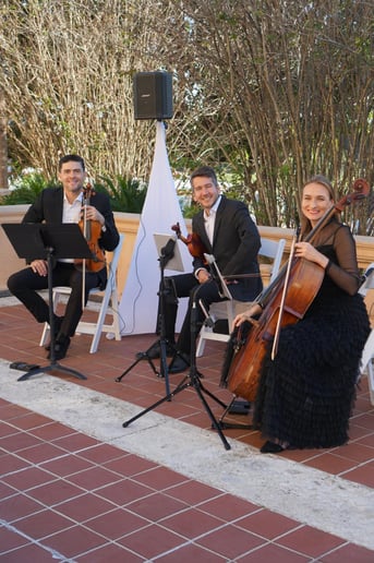 Gallery photo 4 of Miami Wedding Musicians
