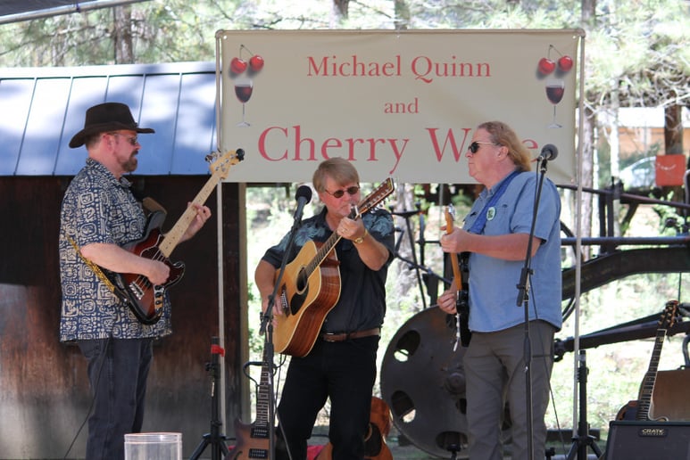 Gallery photo 3 of Michael Quinn and Cherry Wine