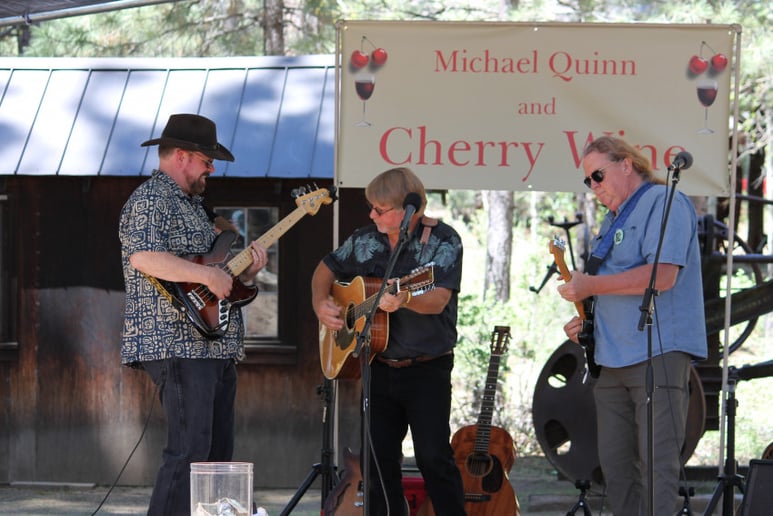 Gallery photo 4 of Michael Quinn and Cherry Wine