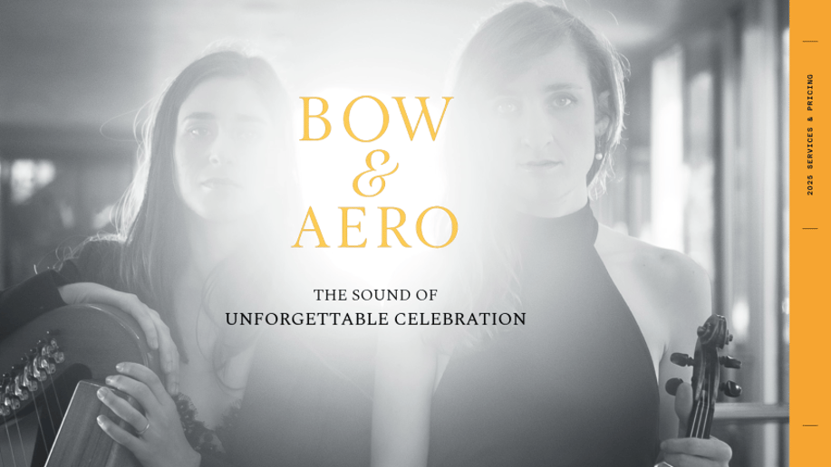 Gallery photo 1 of Bow & Aero Strings