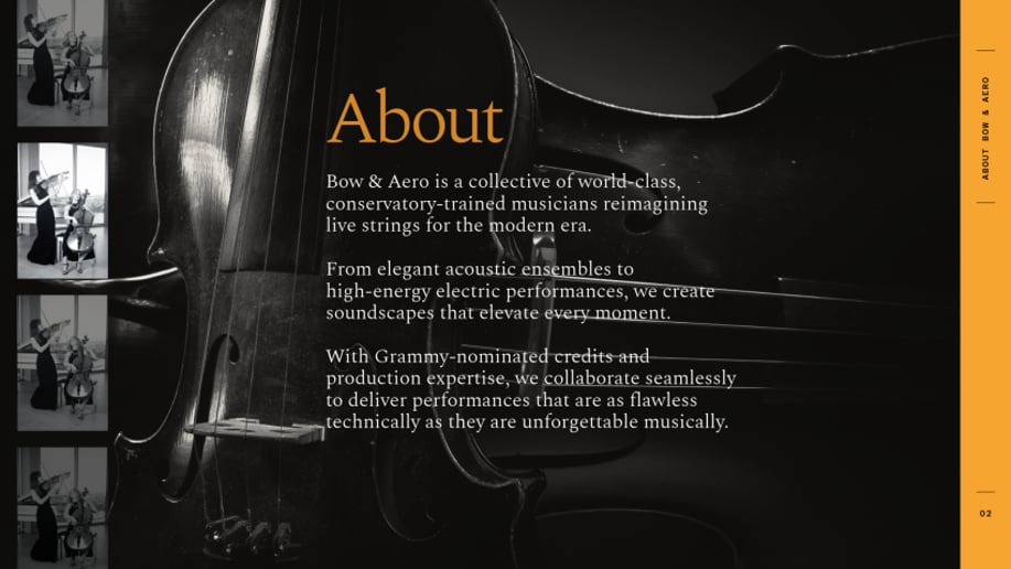 Gallery photo 2 of Bow & Aero Strings