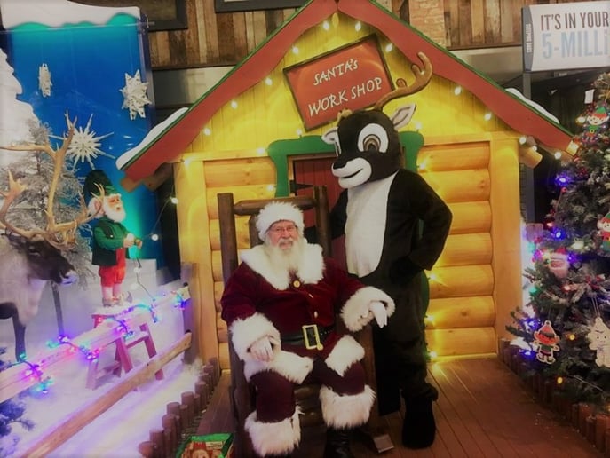 Gallery photo 79 of Michigan's Best Santa & Mrs. Claus & Wedding Officiants
