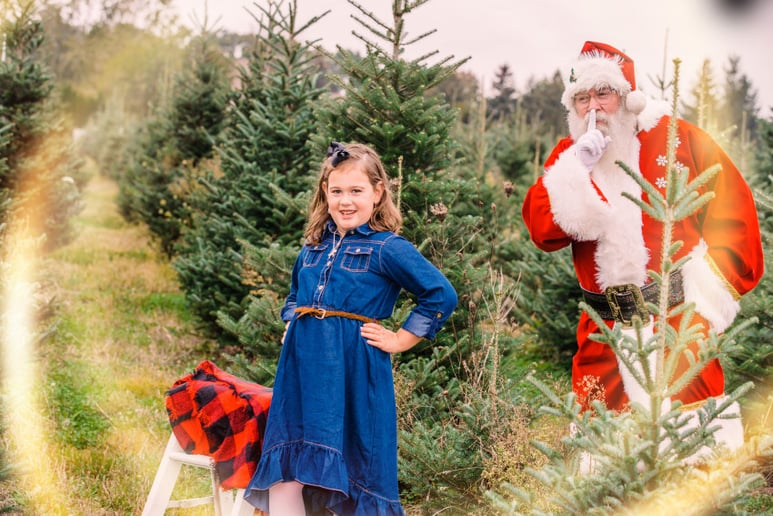 Gallery photo 7 of Michigan's Best Santa & Mrs. Claus & Wedding Officiants