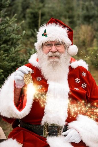 Gallery photo 2 of Michigan's Best Santa & Mrs. Claus & Wedding Officiants