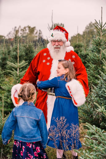 Gallery photo 37 of Michigan's Best Santa & Mrs. Claus & Wedding Officiants