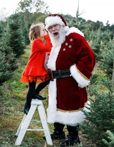 Gallery photo 10 of Michigan's Best Santa & Mrs. Claus & Wedding Officiants