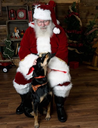 Gallery photo 43 of Michigan's Best Santa & Mrs. Claus & Wedding Officiants