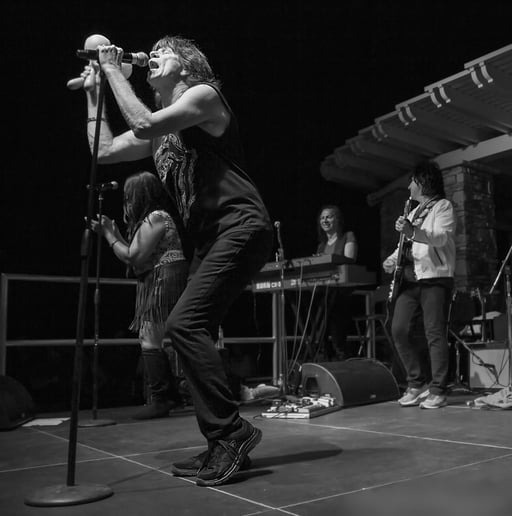 Gallery photo 6 of Mick Adams and The Stones