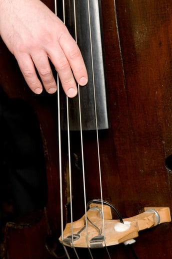 Gallery photo 9 of Mike Davis Trio