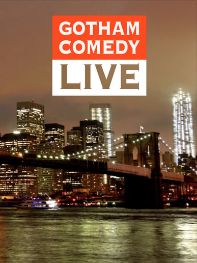 Gallery photo 6 of Mike Faverman Stand-Up Comedian