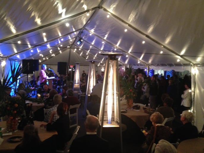 Gallery photo 2 of Mike Lutz--solo guitar and DJ for special events
