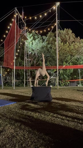 Gallery photo 1 of Milanus Circus