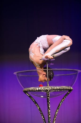 Gallery photo 1 of Mila's Contortion