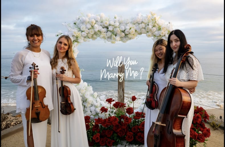 Gallery photo 6 of Milaviolin