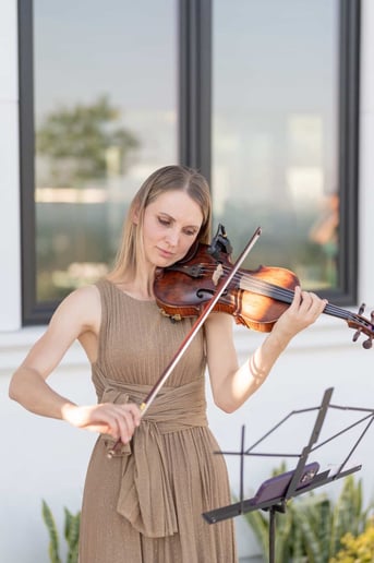 Gallery photo 8 of Milaviolin