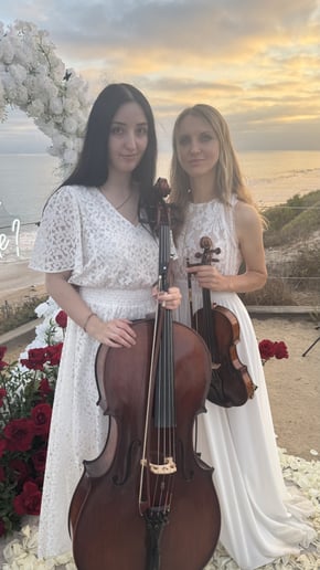 Gallery photo 10 of Milaviolin