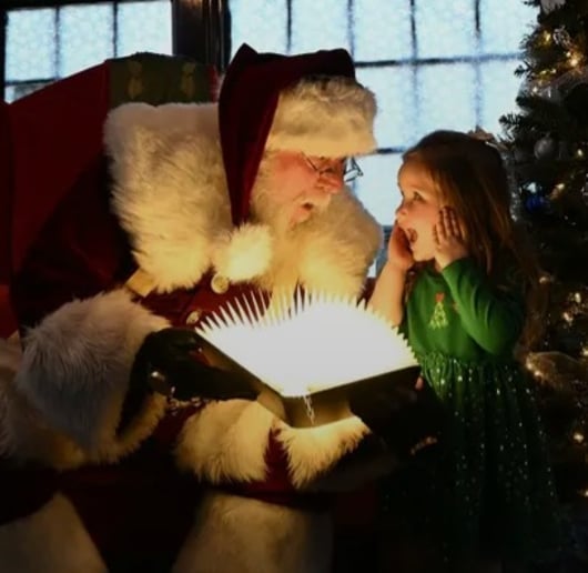 Gallery photo 3 of North Pole Santa