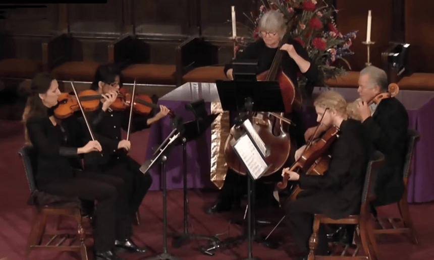 Gallery photo 6 of Millington Strings