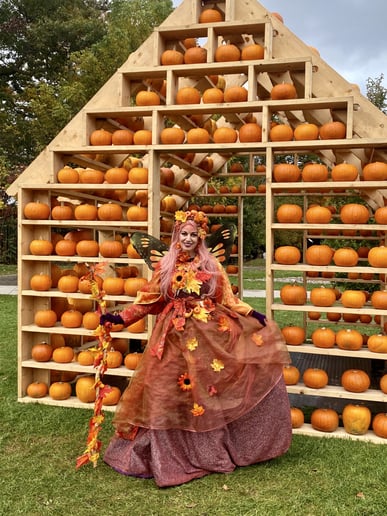 Gallery photo 8 of Stasia Fantasia Show