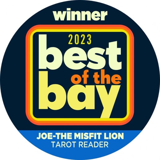 Gallery photo 8 of Joe - The Misfit Lion