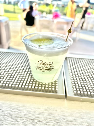 Gallery photo 3 of MISS Bartender LLC