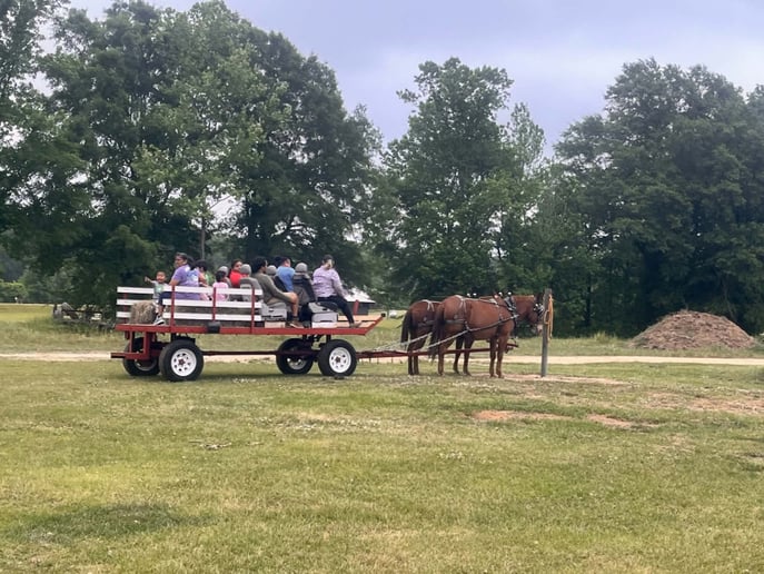 Gallery photo 5 of Mississippi Carriage Company