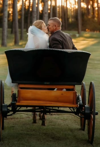 Gallery photo 9 of Mississippi Carriage Company