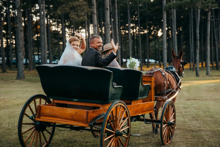 Gallery photo 10 of Mississippi Carriage Company
