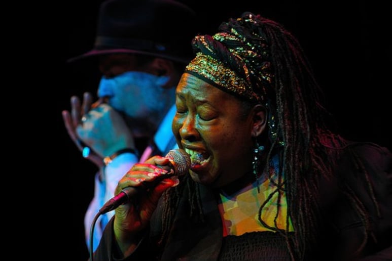 Gallery photo 6 of Mississippi Heat