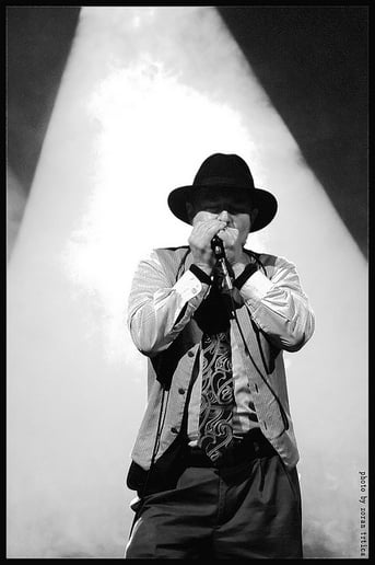 Gallery photo 10 of Mississippi Heat